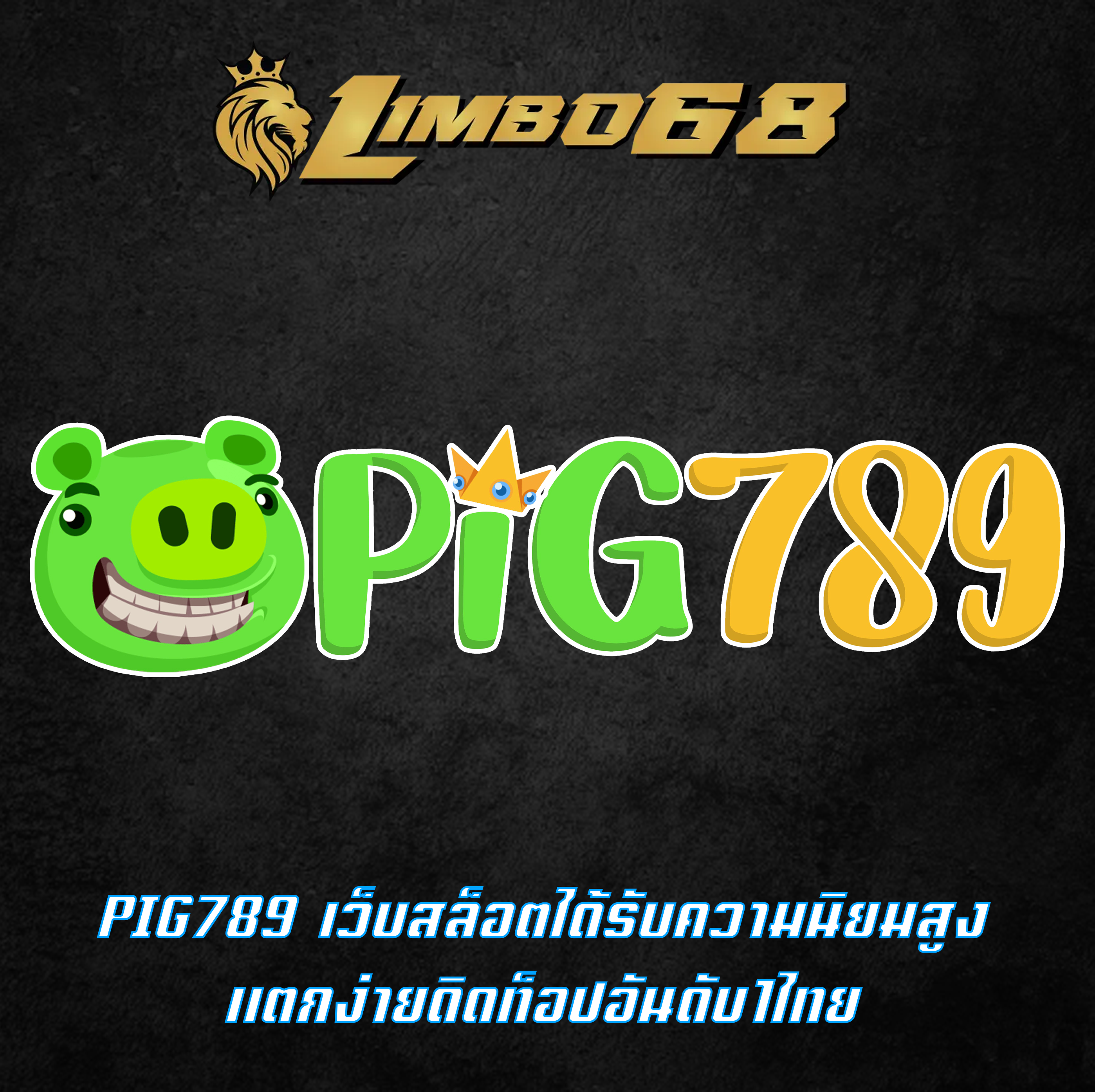 PIG789